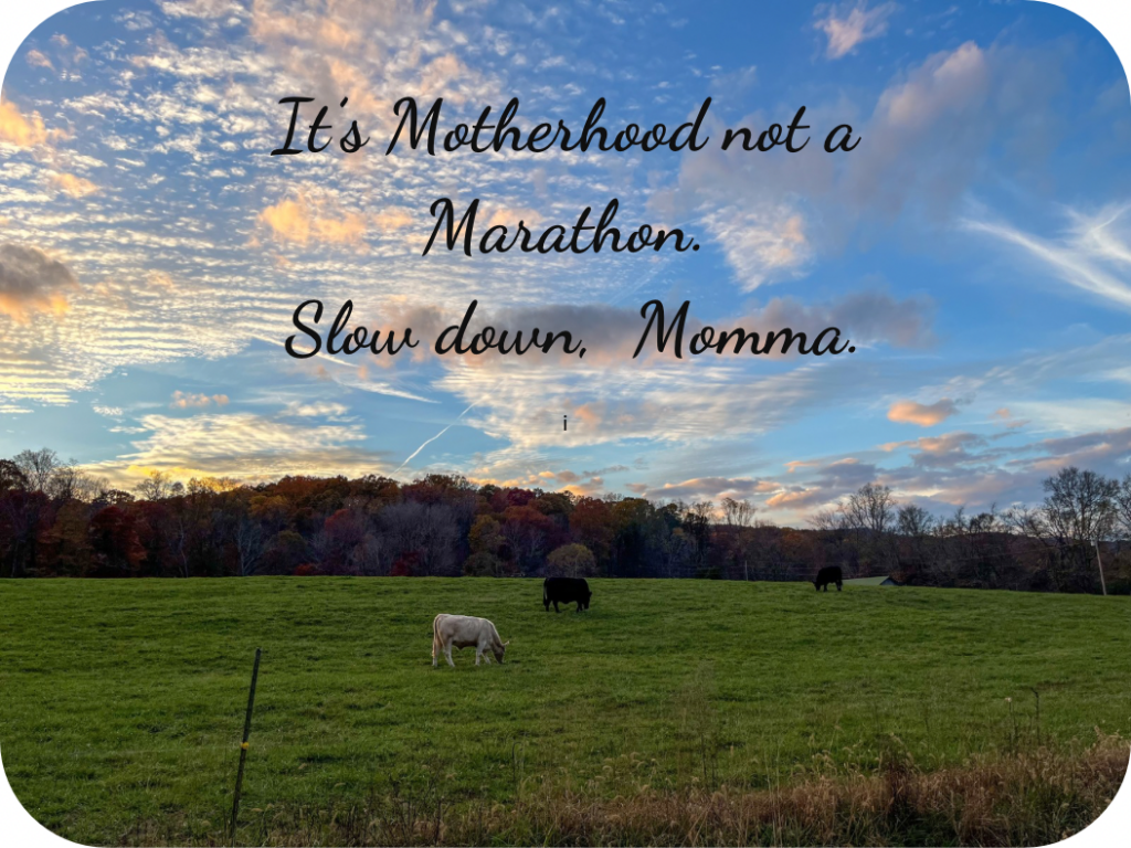 Cows grazing in green field with blue skies and white clouds With quote over it 