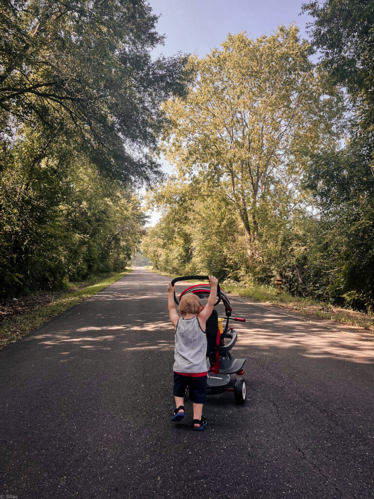 toddler pushing radio flyer stroll N' trike on country road 