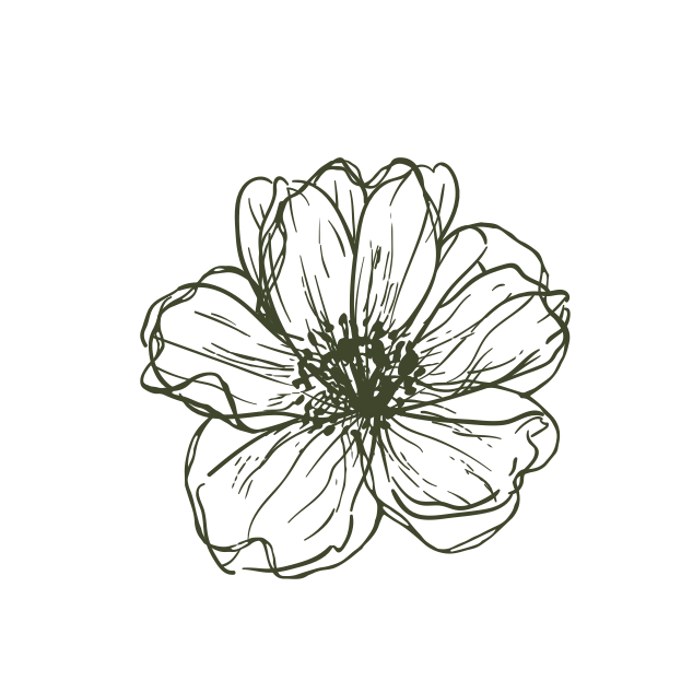 Sketched of a flower