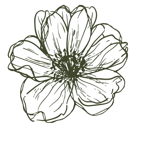 Sketched of a flower