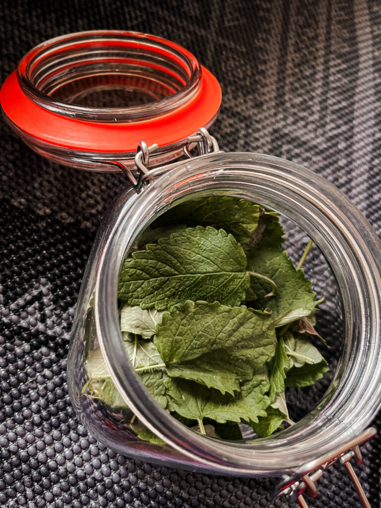 holistic herbs in glass jar 