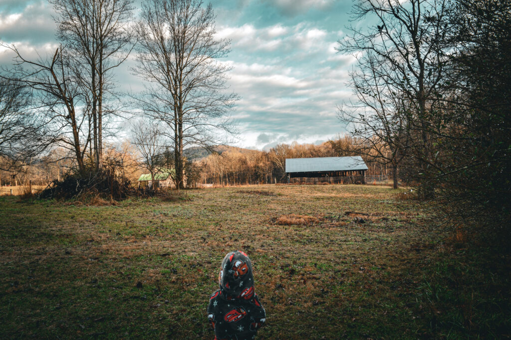 little boy in taking in morning sun with a walk on the farm looking at the barn