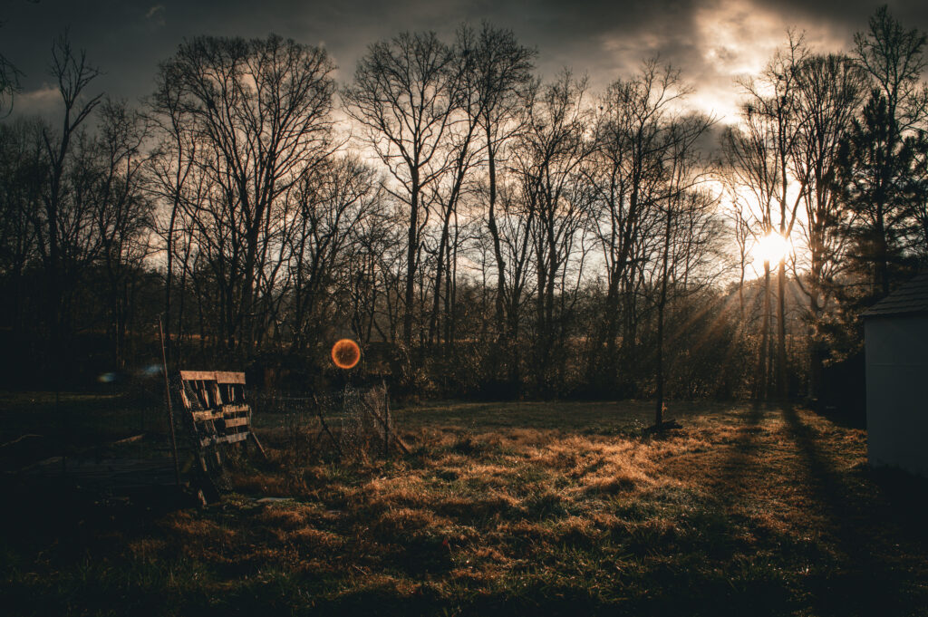 morning sunrise on the farm 