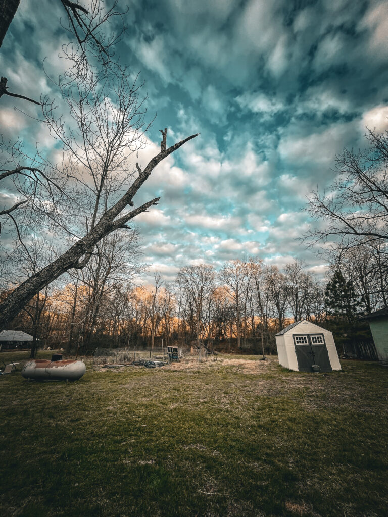 slow evening in the backyard 