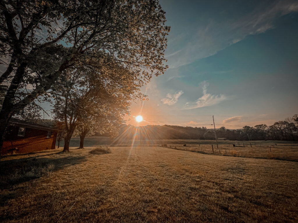 soft sunset on the farm 